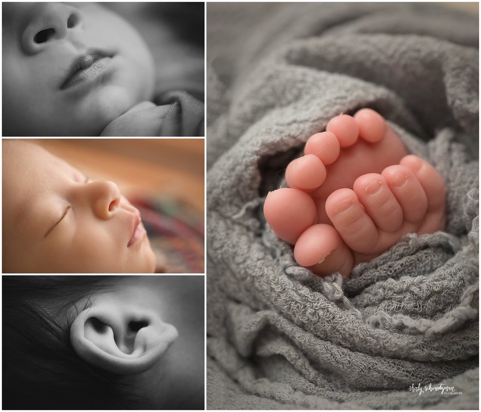 Best Newborn Photographer in Manhattan | www.shirlyschvartzman.com